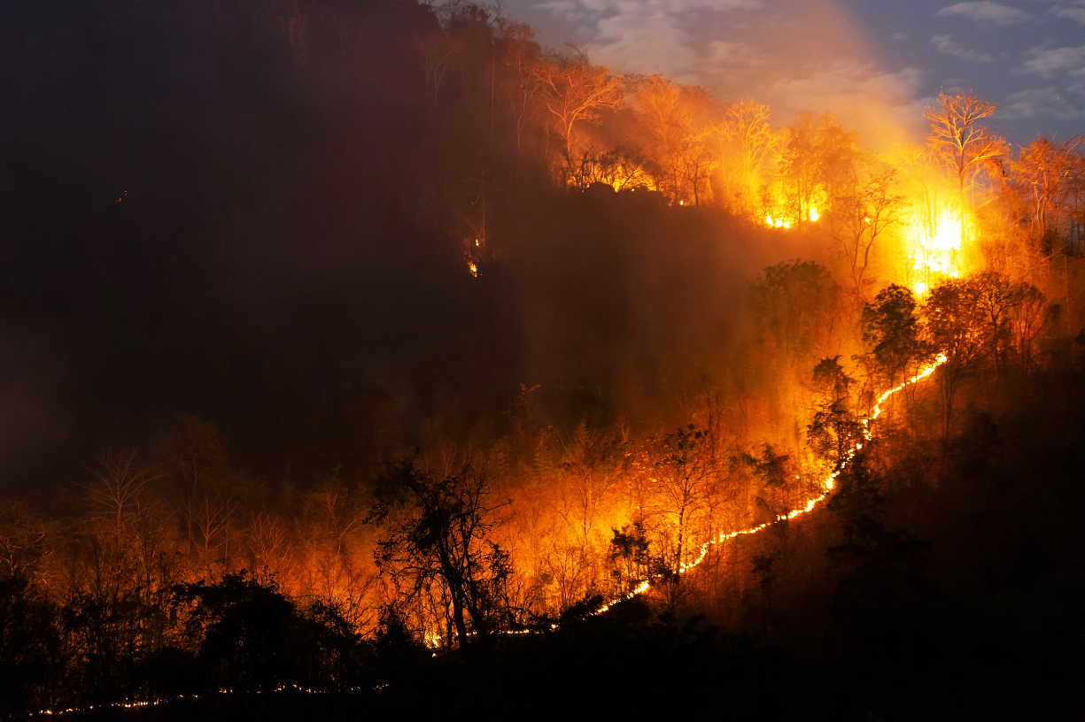 Fire season safety tips for wildfire and home protection